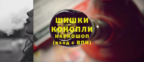 ешки Бронницы