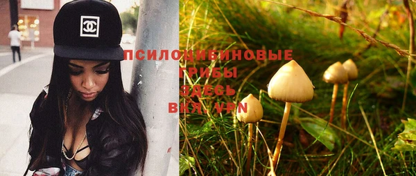 ешки Бронницы