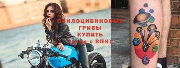 эйфоретик Бугульма