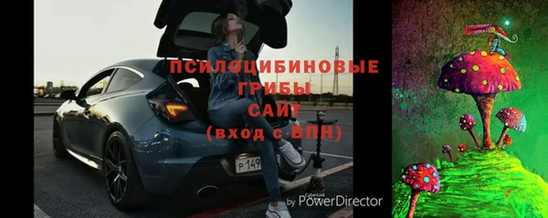 ешки Бронницы