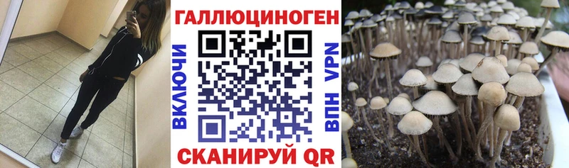 blacksprut маркетплейс  Миасс  Псилоцибиновые грибы прущие грибы  где найти наркотики 